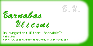 barnabas ulicsni business card